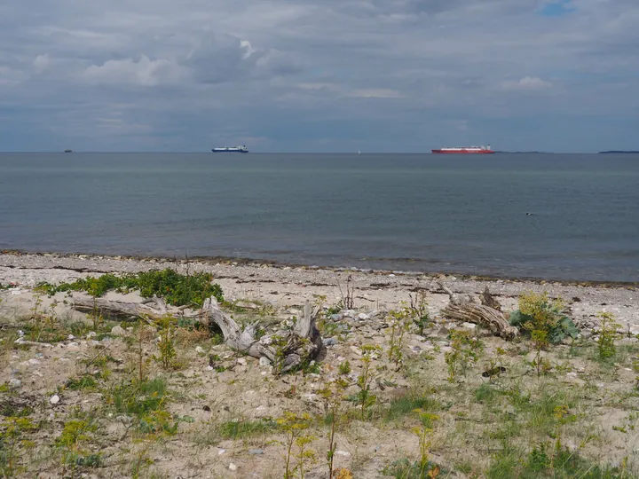 Halshuisene + Enebaerodde Beach (Denemarken)